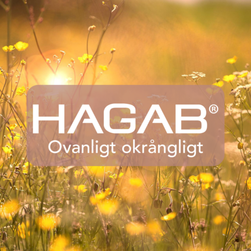 Glad sommar från Hagab